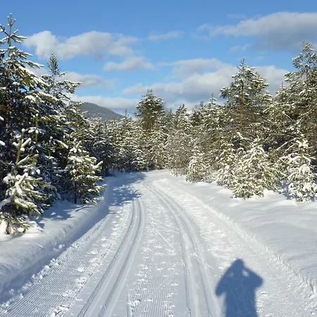 Garni Waldhof - Wohlfuehlen Am Lech بيت ضيافة